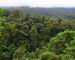 Las deszczowy w Parku Narodowym Braulio Carillo